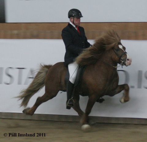 gandlfur_og_hugur_003