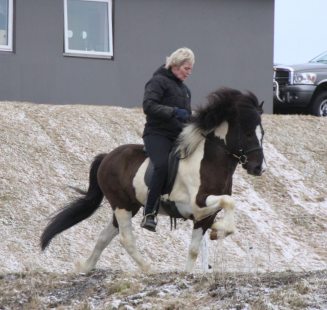 lffinnur_2_mars11_001