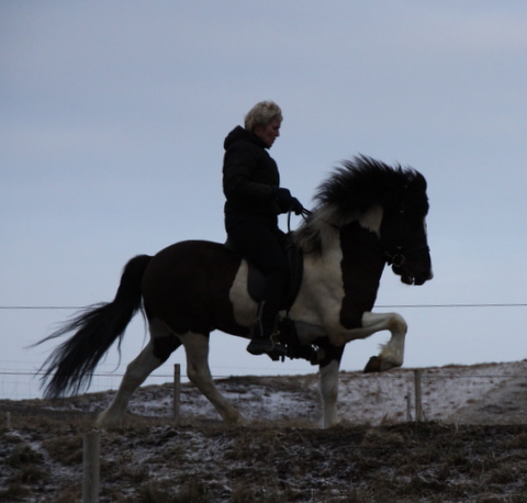 lffinnur_2_mars11_002