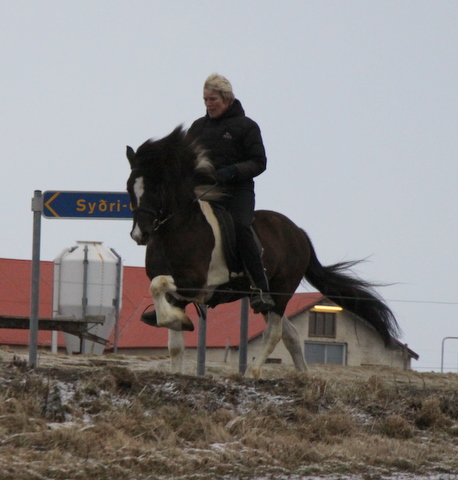 lffinnur_2_mars11_003