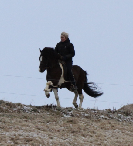 lffinnur_2_mars11_008