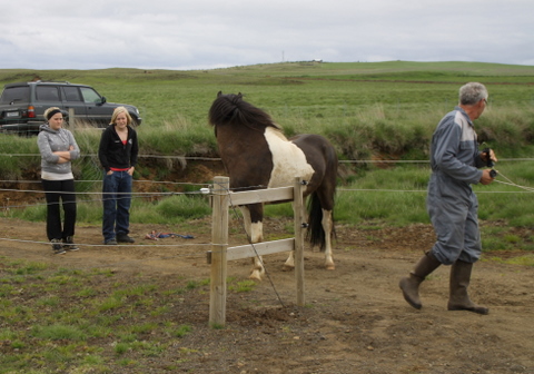 lffinnur_t_20_jni10_002