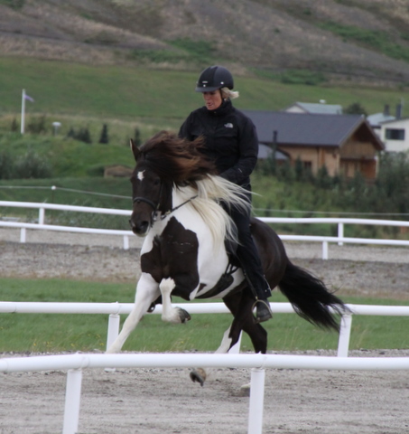 heillads_siss.0810_002