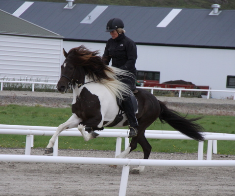 heillads_siss.0810_005