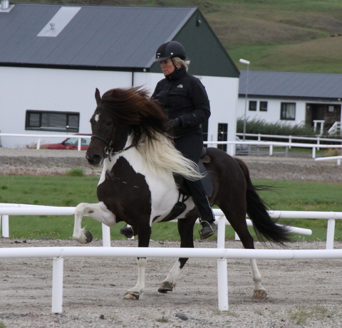 heillads_siss.0810_009