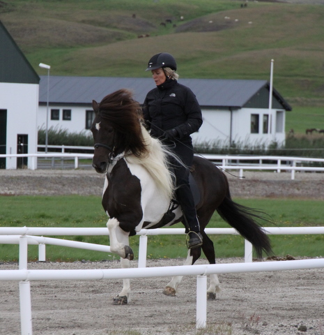 heillads_siss.0810_011