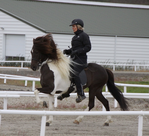 heillads_siss.0810_012