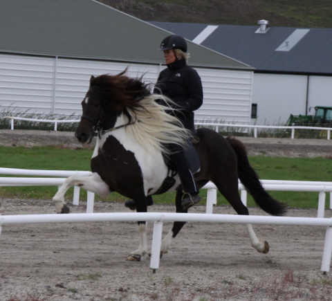 heillads_siss.0810_015