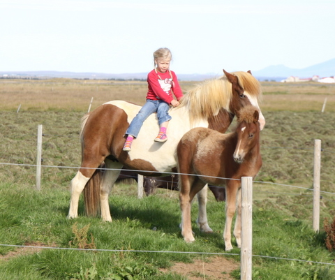 lfads_og_karen_rs_001-1