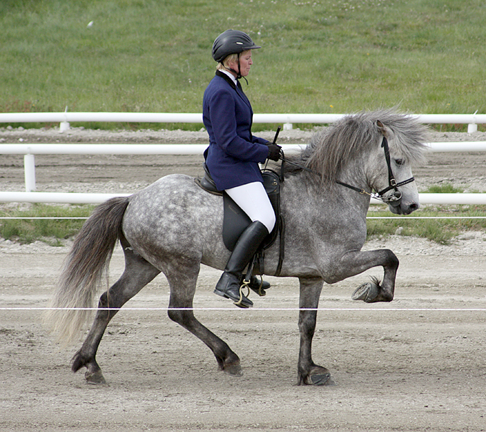 kraflar Kraflar á LM 2008