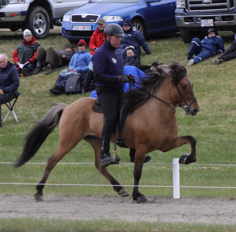 greipur_landsmt11_048