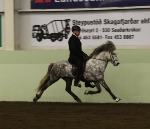 sthestav.__saurkr._20011_004