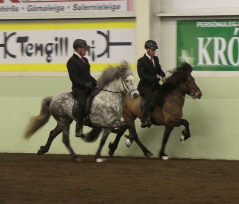 sthestav.__saurkr._20011_006