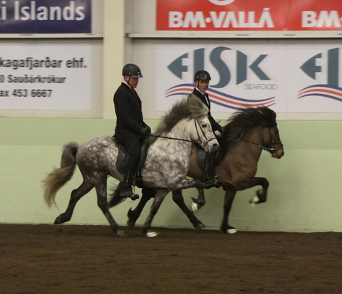 sthestav.__saurkr._20011_007