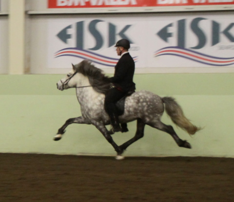 sthestav.__saurkr._20011_009