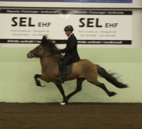 sthestav.__saurkr._20011_010