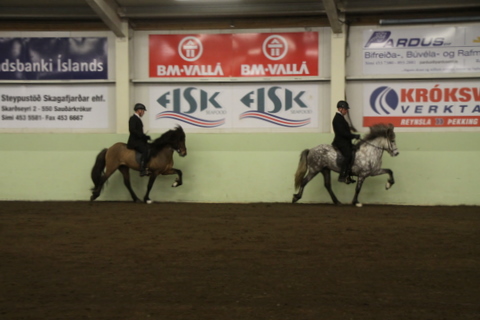 sthestav.__saurkr._20011_014