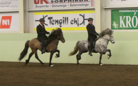 sthestav.__saurkr._20011_015