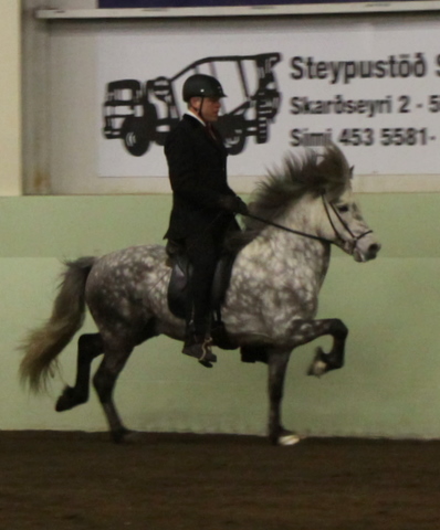 sthestav.__saurkr._20011_016