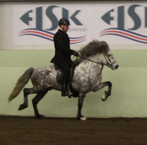 sthestav.__saurkr._20011_017