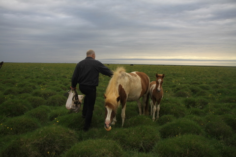 lfads_hj_s_aug.11_002