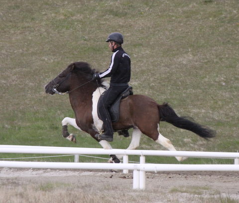 lffinnur_hella11_110611_041-1