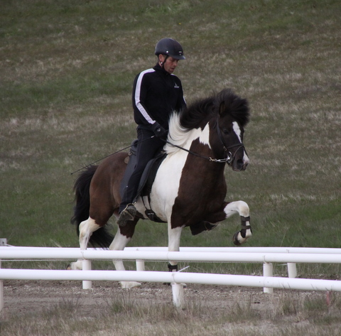 lffinnur_hella11_110611_041-1_15