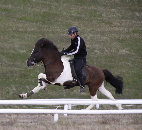 lffinnur_hella11_110611_041-1_2