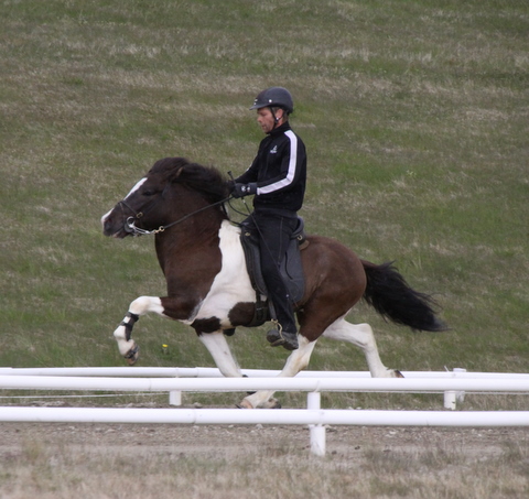 lffinnur_hella11_110611_041-1_27