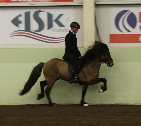 sthestav.__saurkr._20011_003