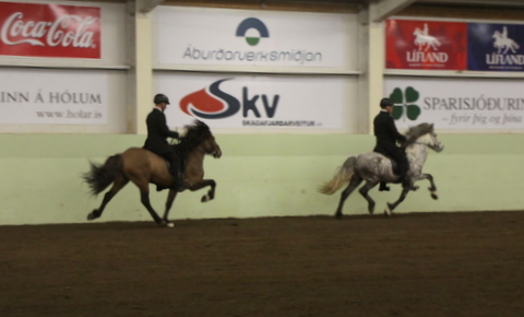 sthestav.__saurkr._20011_019